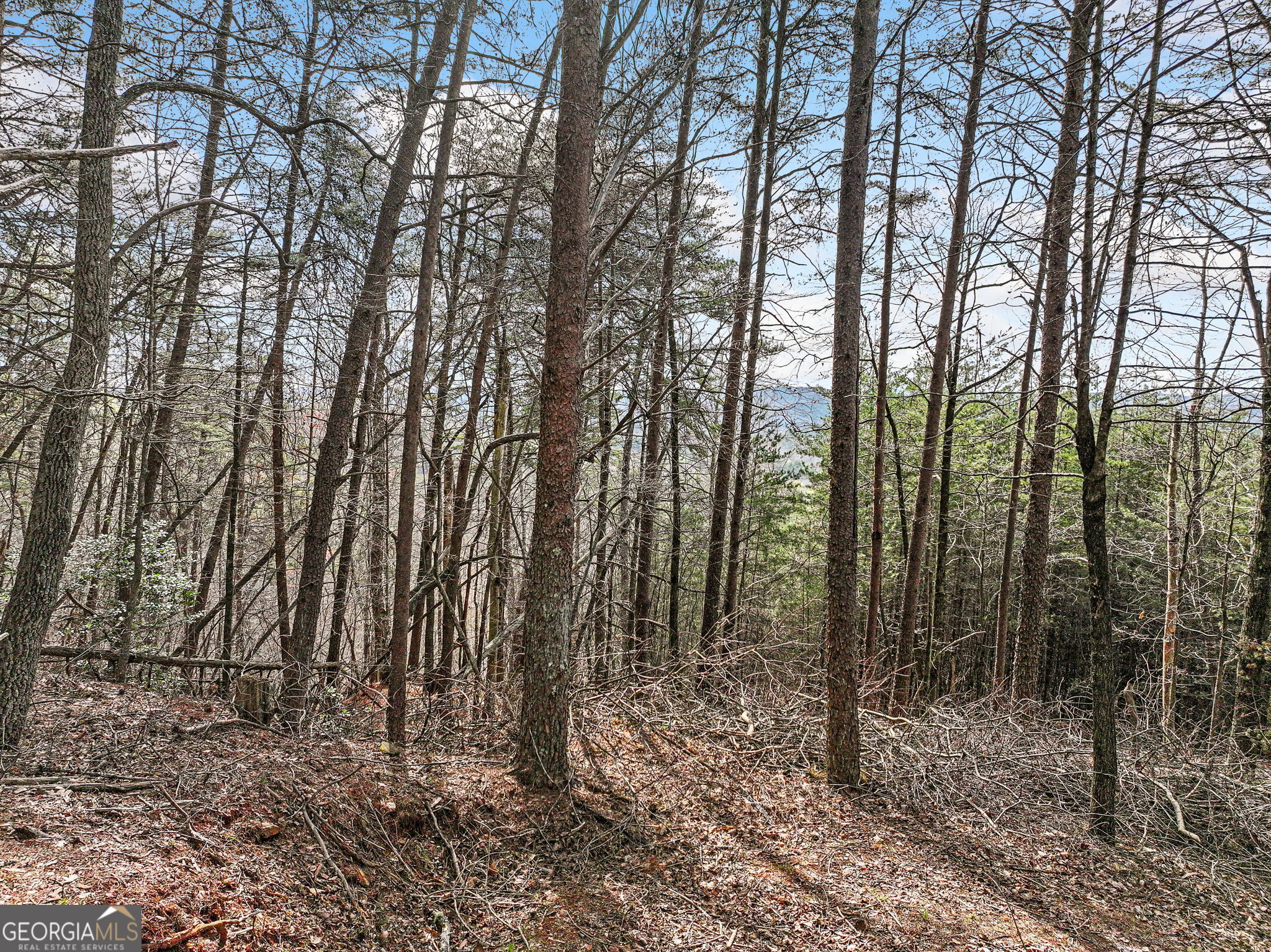 Lot 28 Crown Mountain Way Dahlonega GA 30533