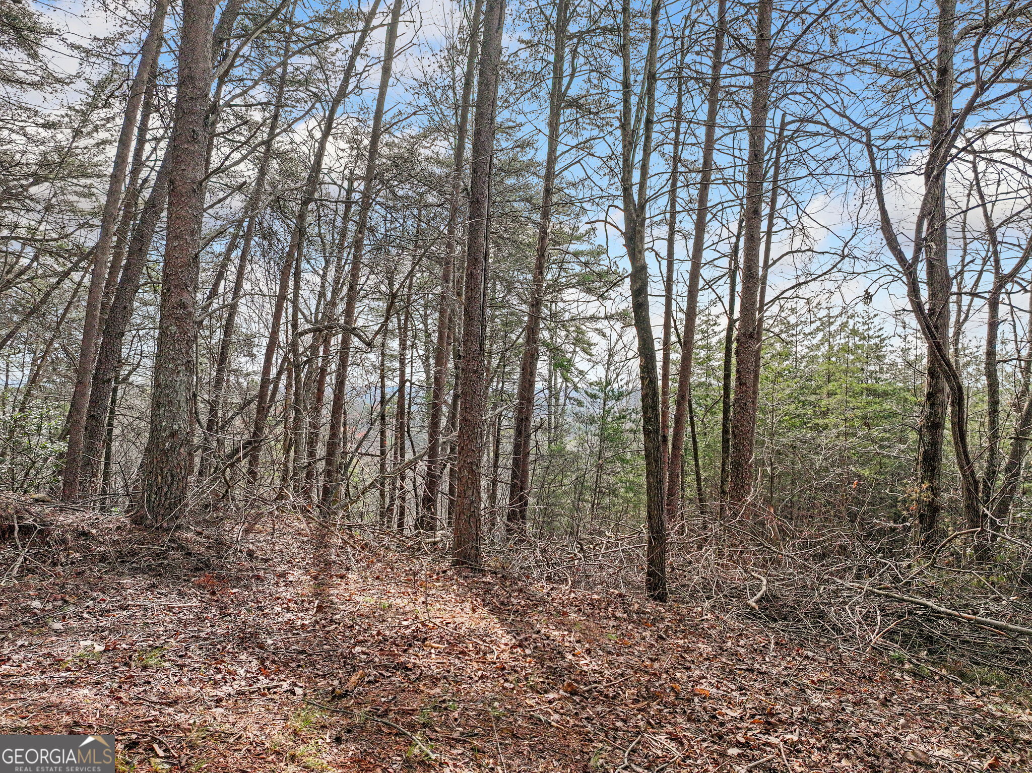 Lot 28 Crown Mountain Way Dahlonega GA 30533