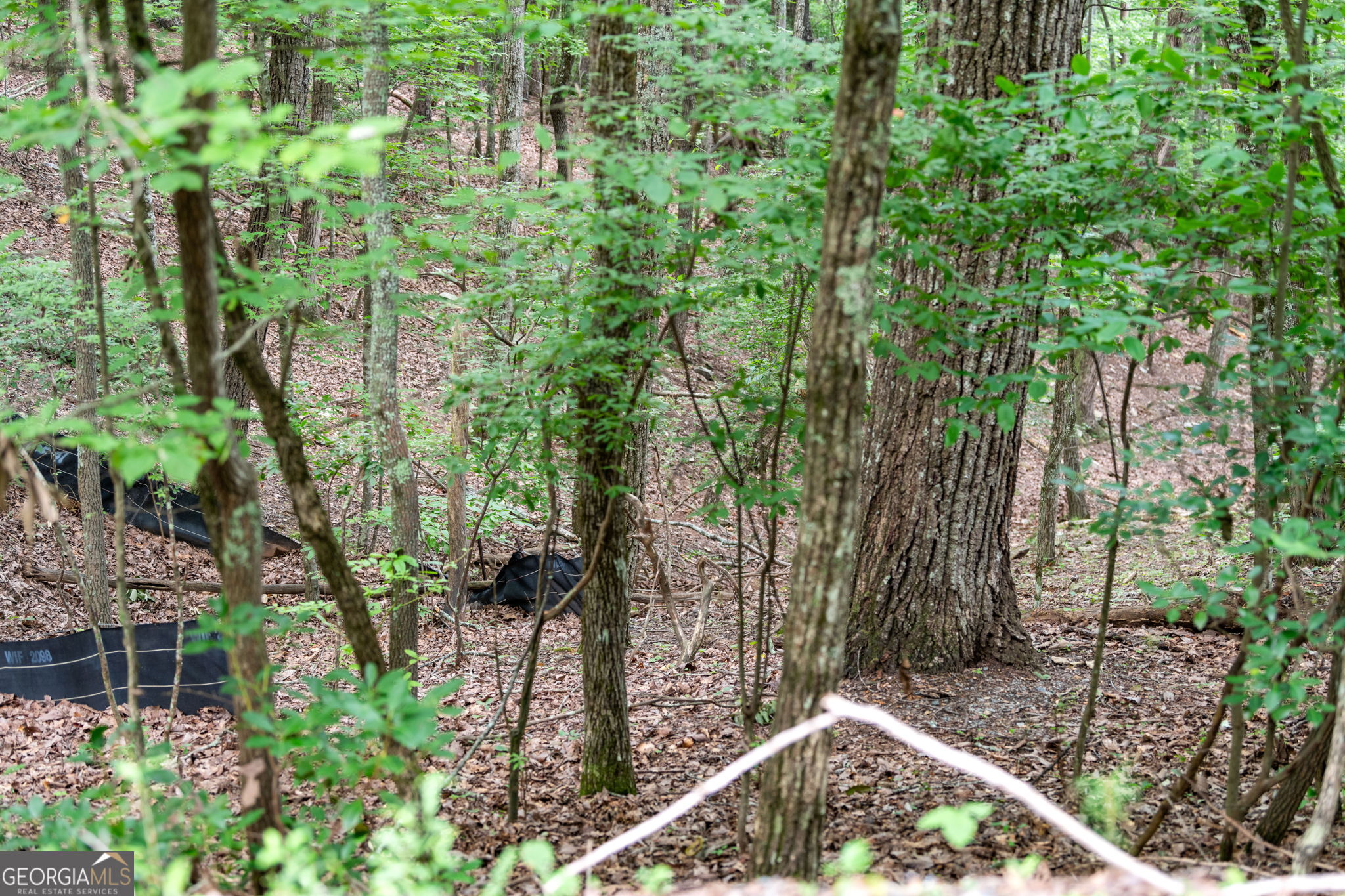 Lot 58 Cherokee Circle Ellijay GA 30536