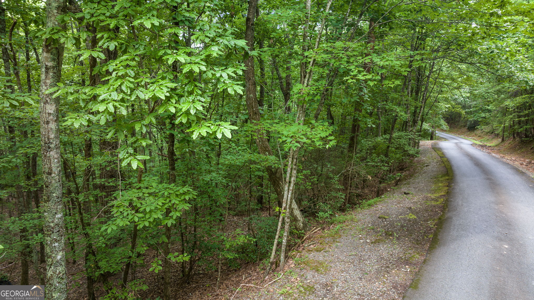 Lot 58 Cherokee Circle Ellijay GA 30536