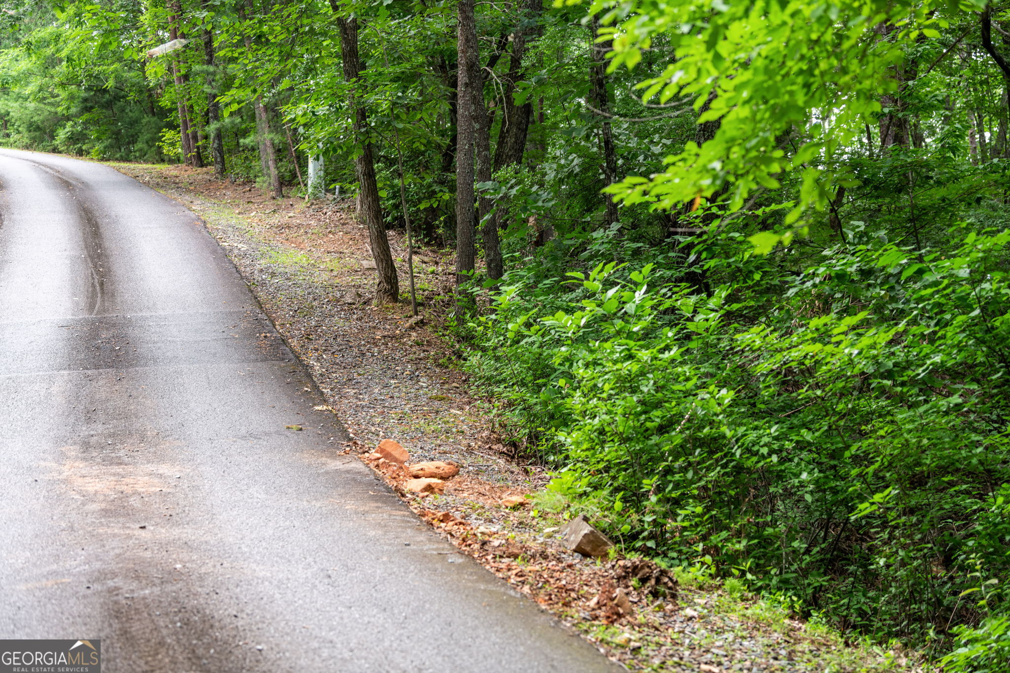 Lot 58 Cherokee Circle Ellijay GA 30536