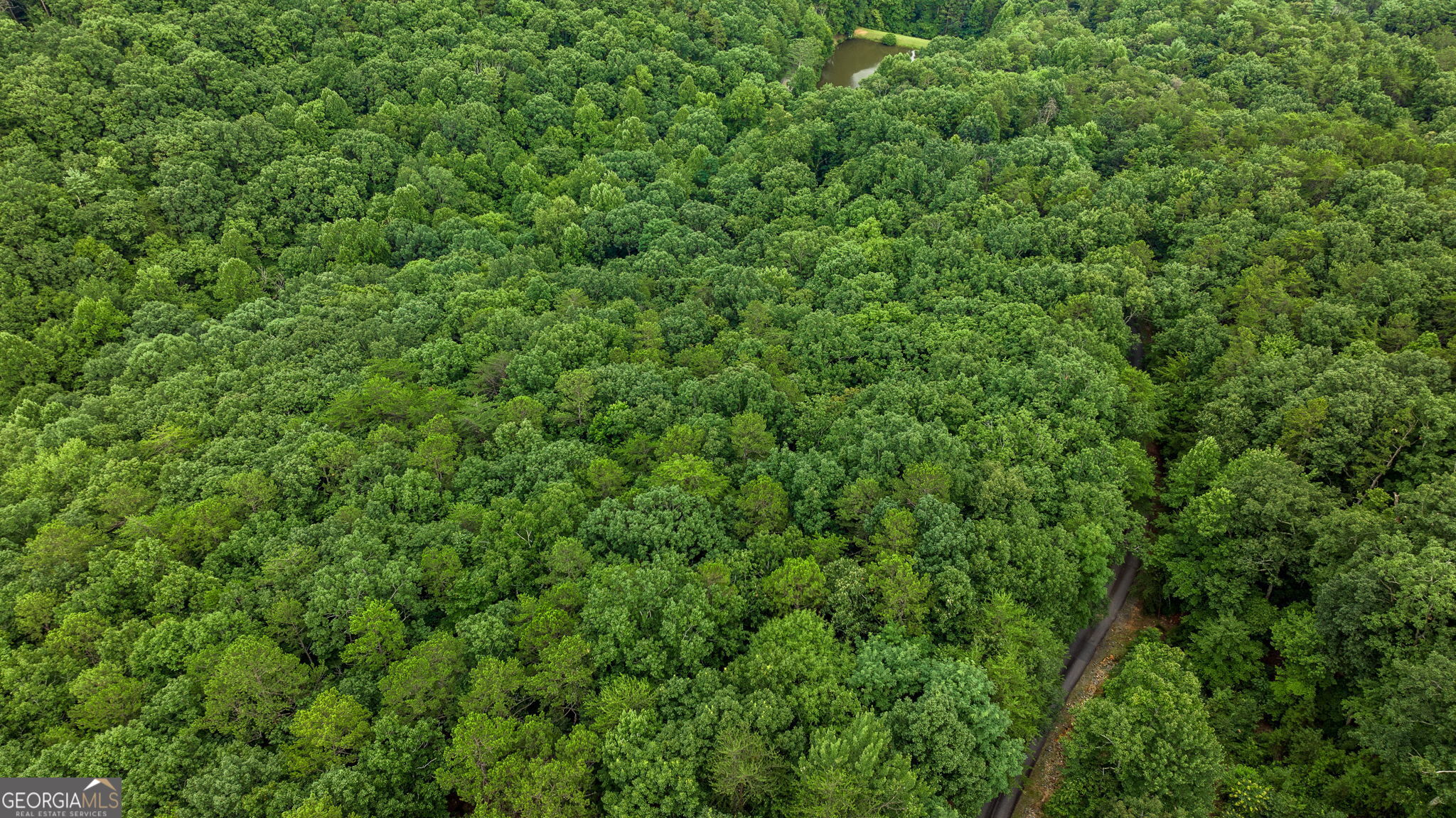 Lot 58 Cherokee Circle Ellijay GA 30536