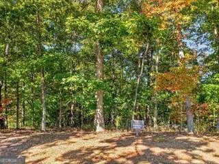 Lot 144 Hickory Way Mineral Bluff GA 30559