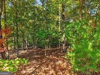 Lot 144 Hickory Way Mineral Bluff GA 30559