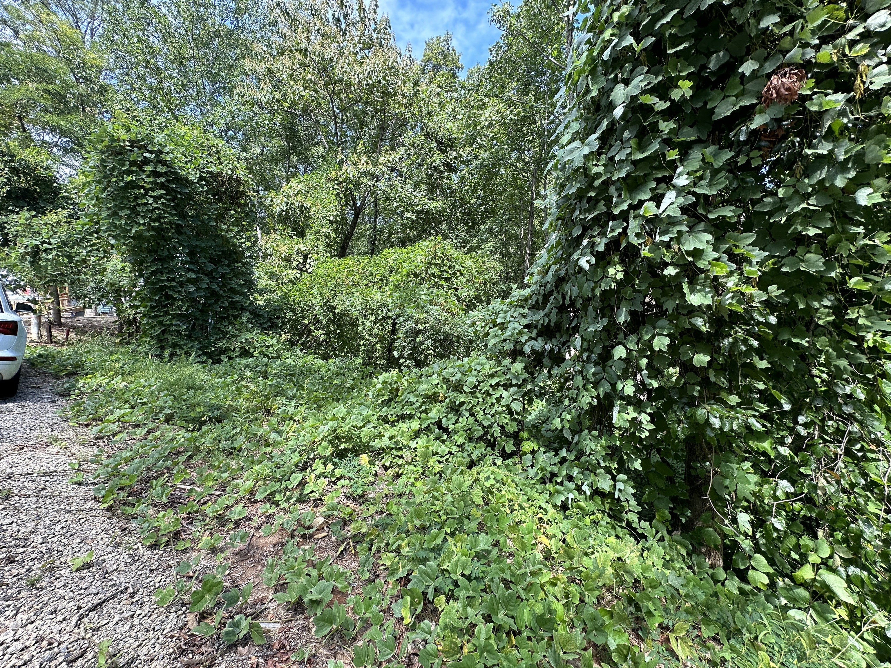 0 King Mountain Drive Clayton GA 30525