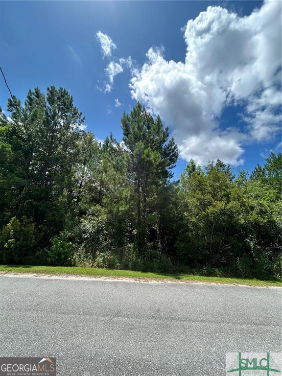 Lot 18 Main Trail Midway GA 31320