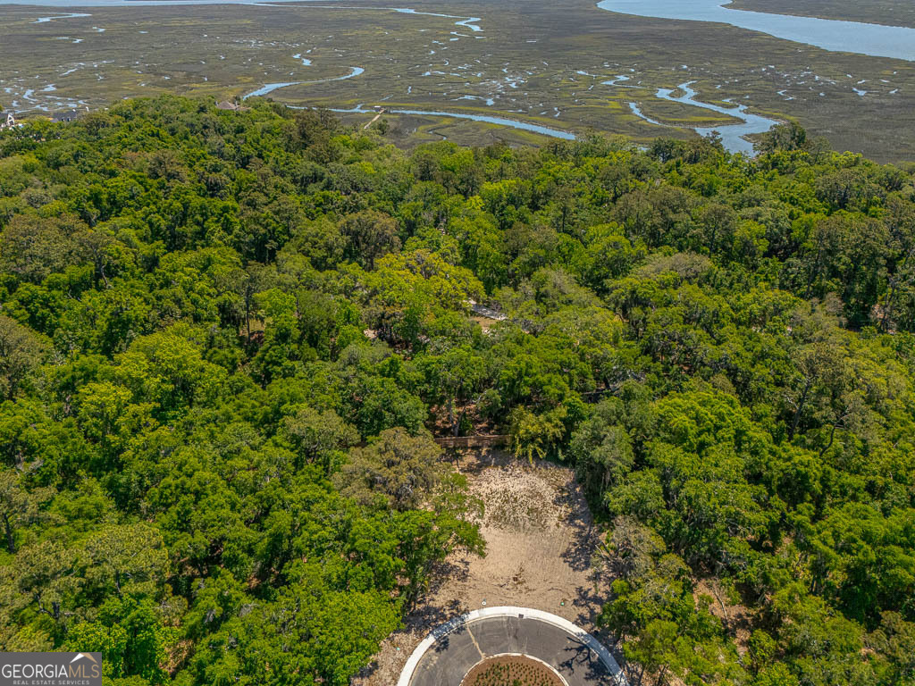 126 Canopy Lane St. Simons Island GA 31522