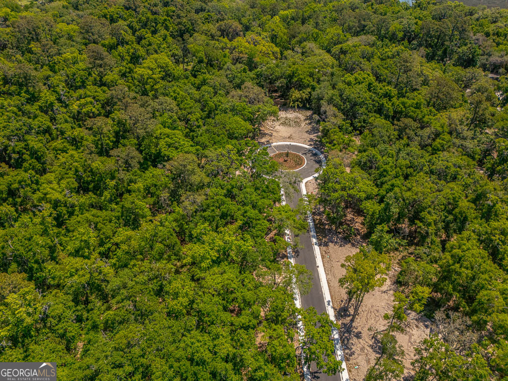 126 Canopy Lane St. Simons Island GA 31522