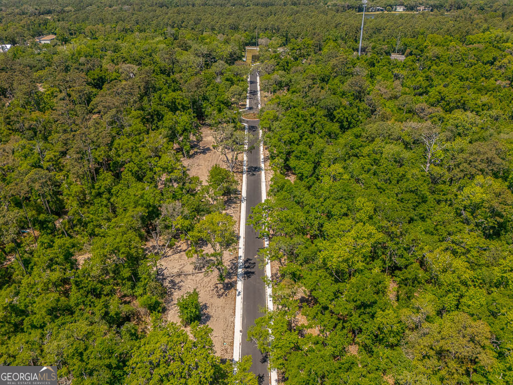 126 Canopy Lane St. Simons Island GA 31522