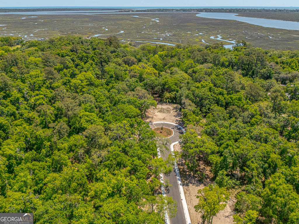 126 Canopy Lane St. Simons Island GA 31522