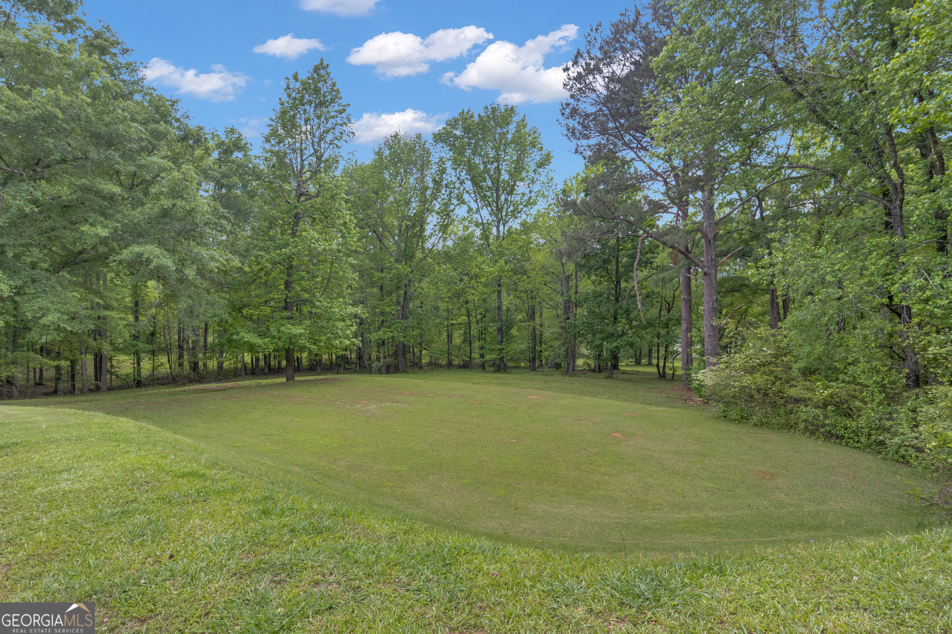 14803 Woolsey Road Hampton GA 30228