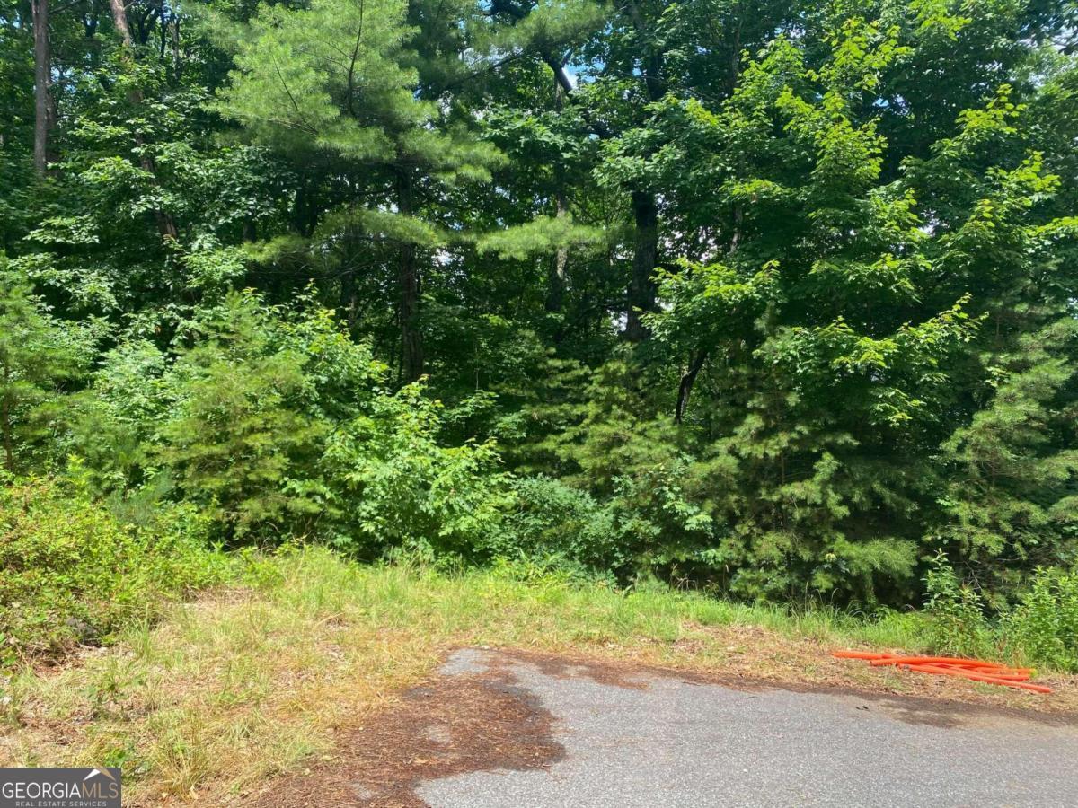 0 Sunrise Ridge Blairsville GA 30512