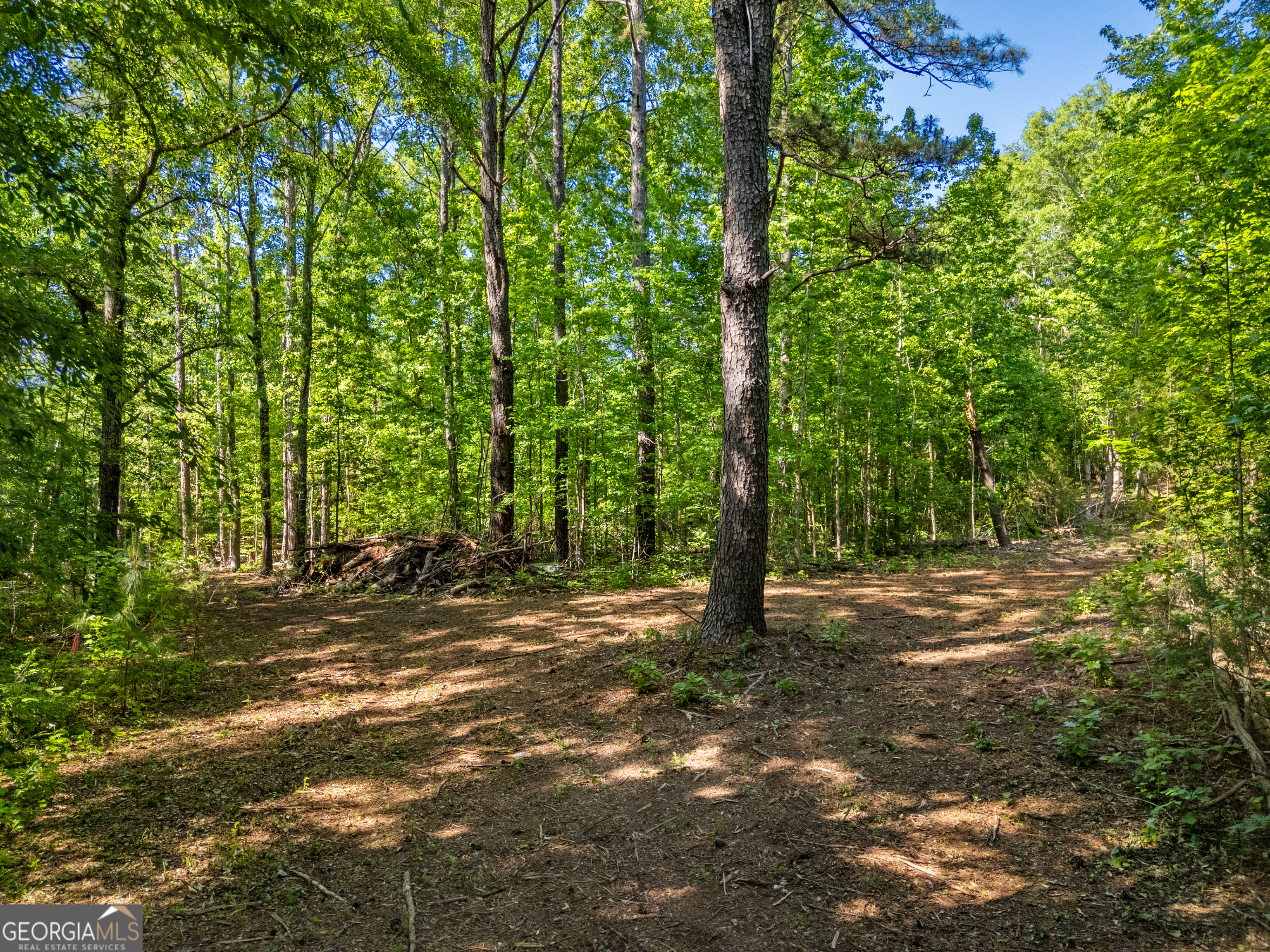 0 Oak Road Jenkinsburg GA 30234