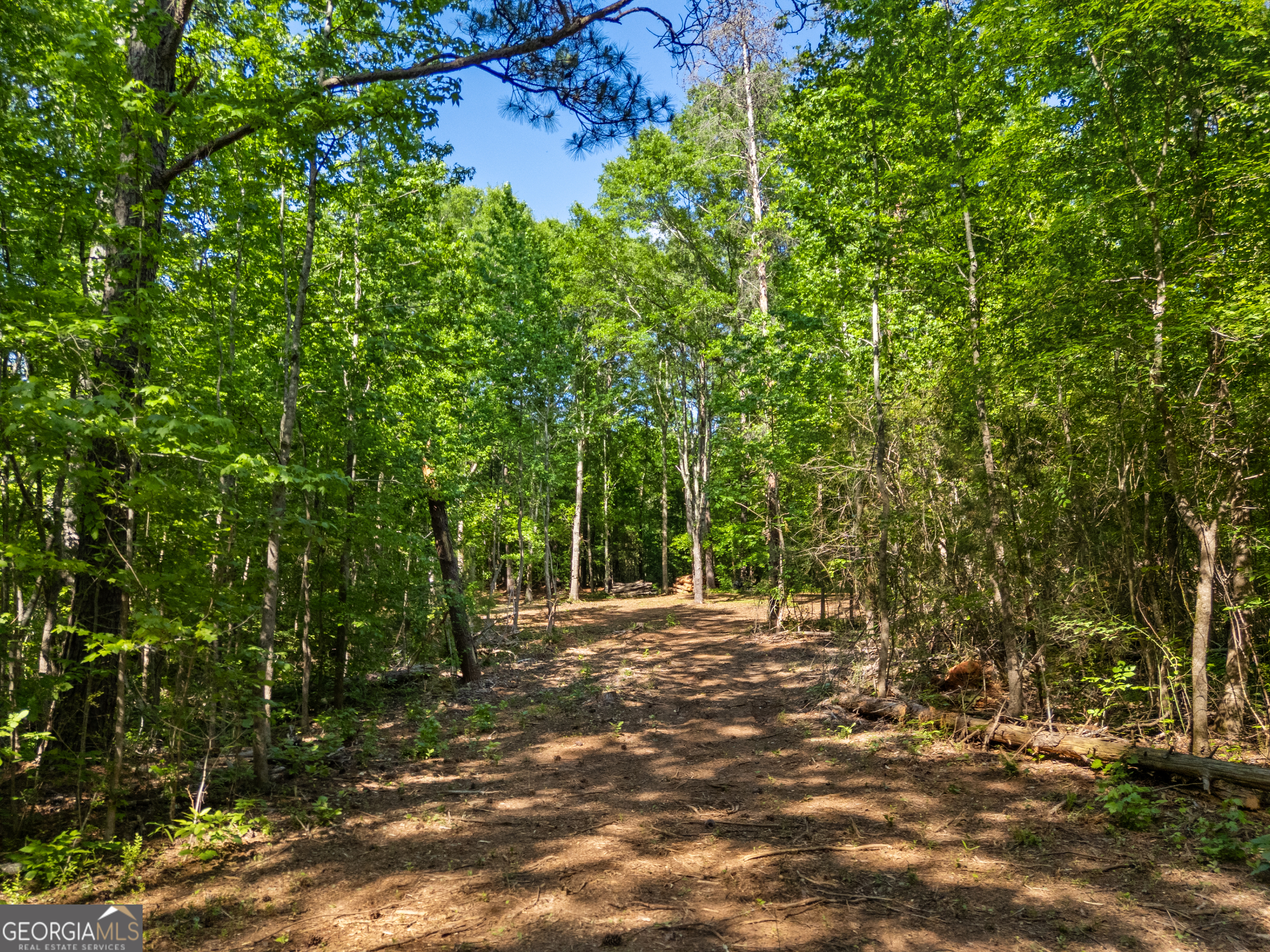 0 Oak Road Jenkinsburg GA 30234