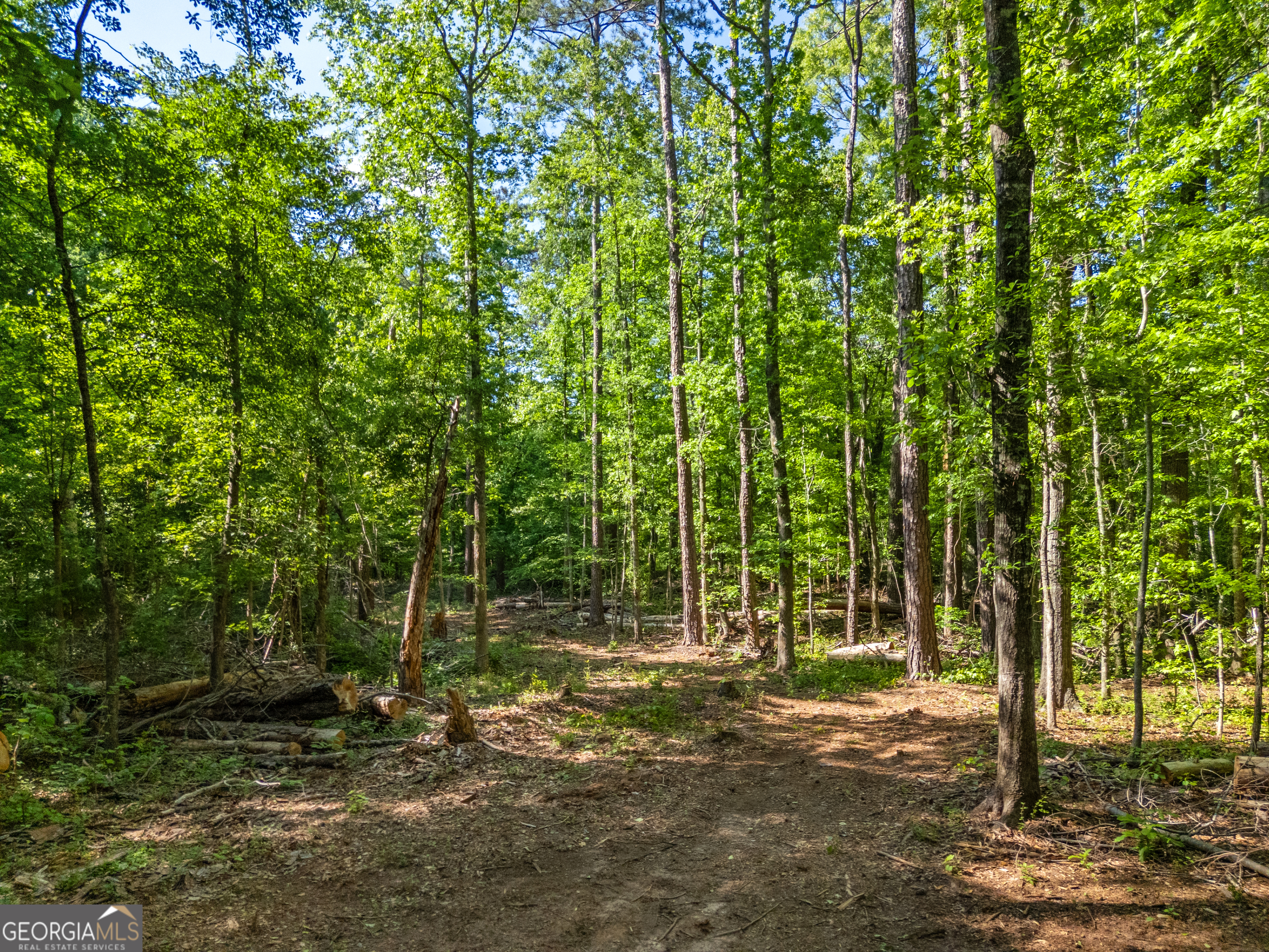 0 Oak Road Jenkinsburg GA 30234