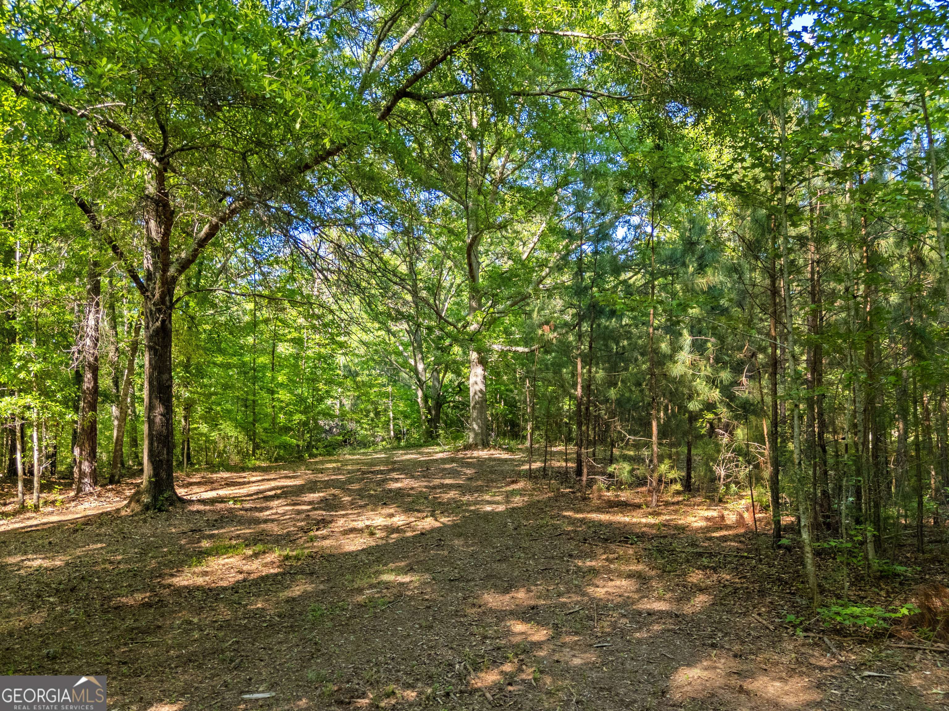 0 Oak Road Jenkinsburg GA 30234