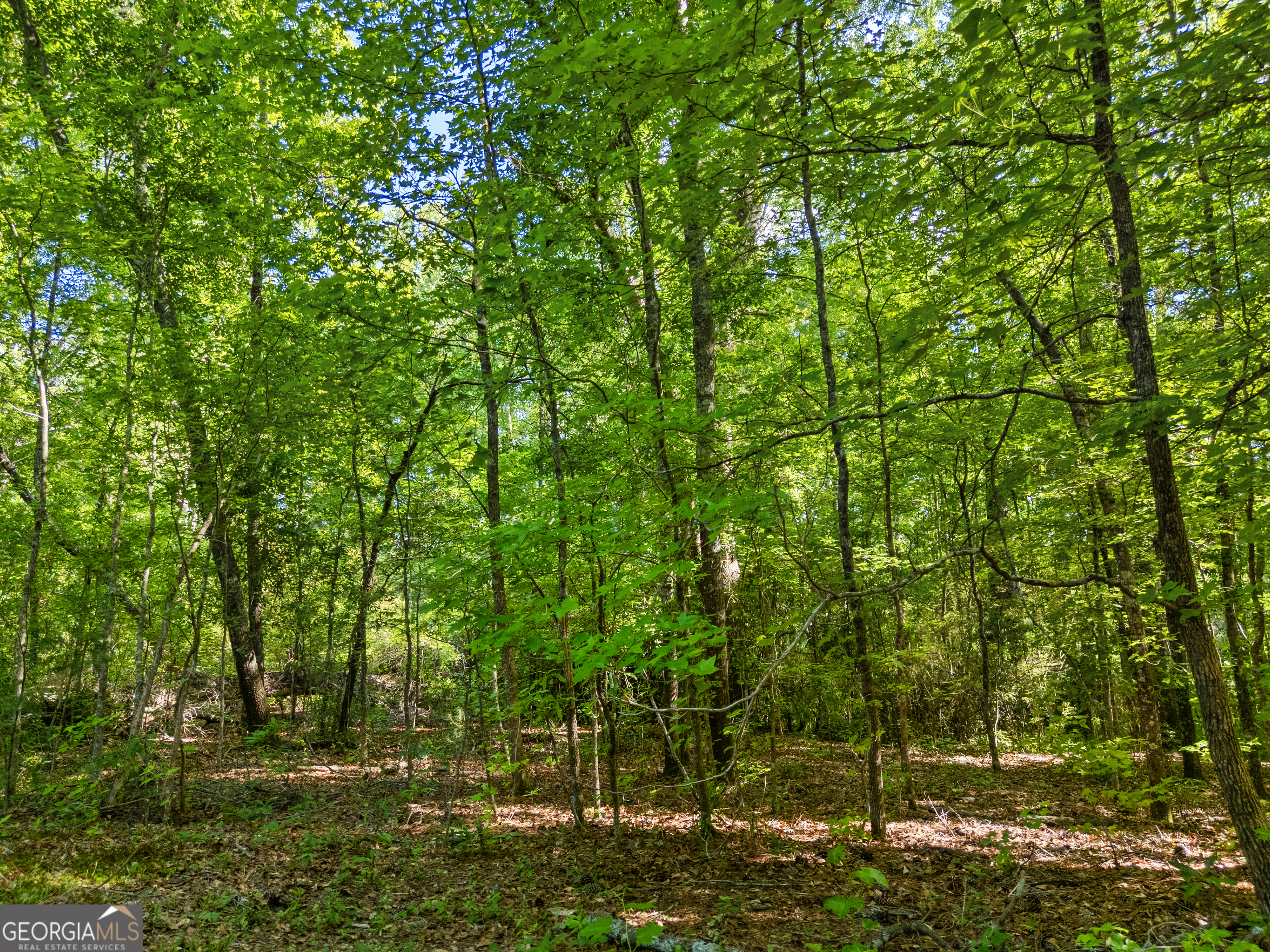 0 Oak Road Jenkinsburg GA 30234