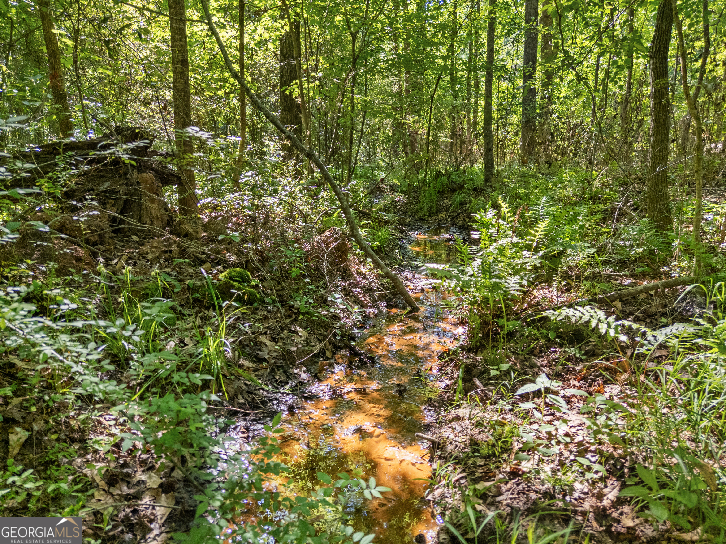 0 Oak Road Jenkinsburg GA 30234