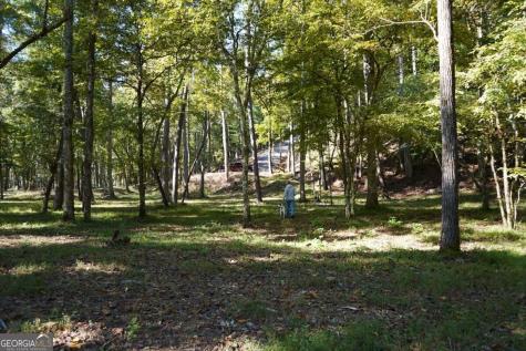 0 River Run Way Hayesville NC 28904