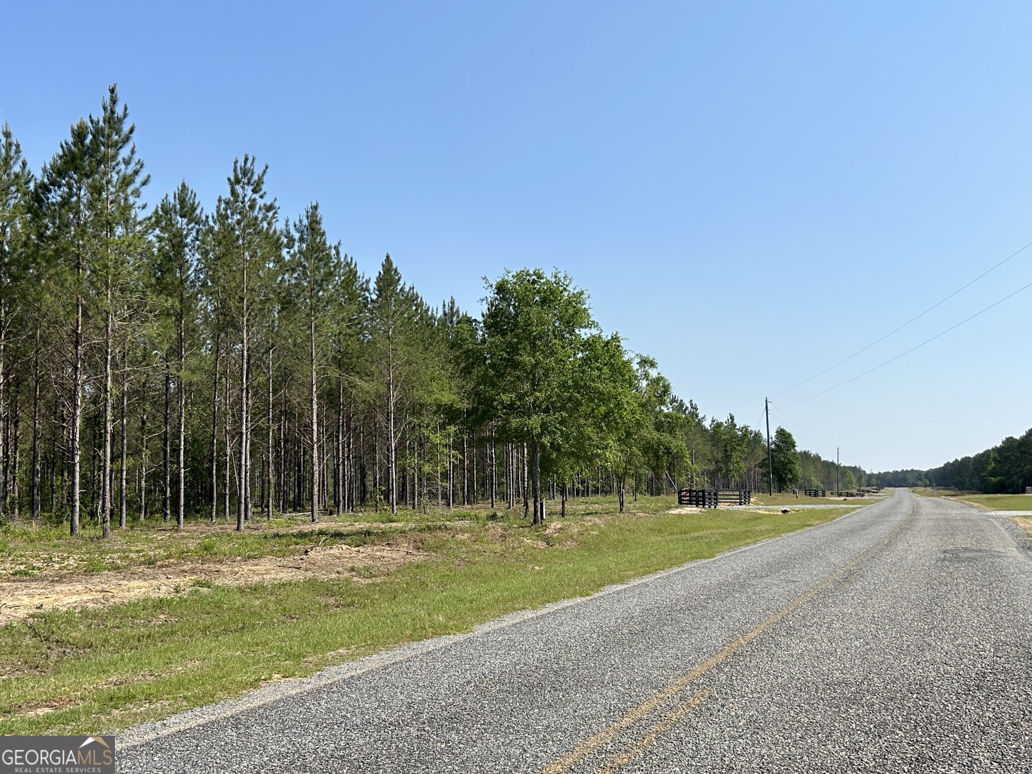 0 Dewey Thomas Road Dexter GA 31019