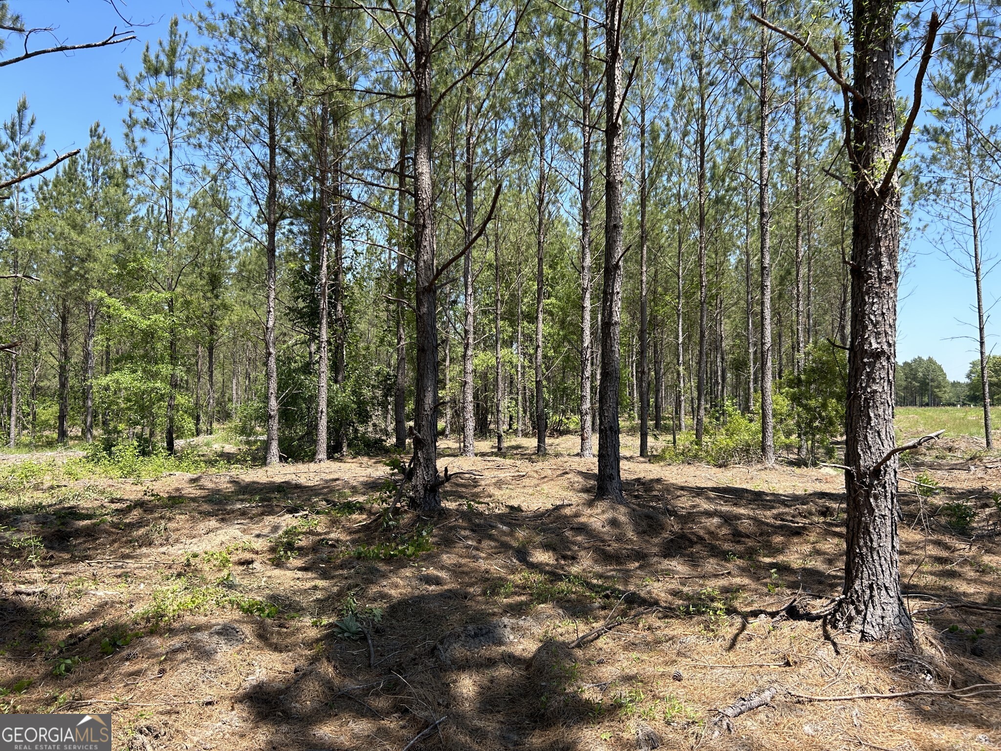 0 Dewey Thomas Road Dexter GA 31019