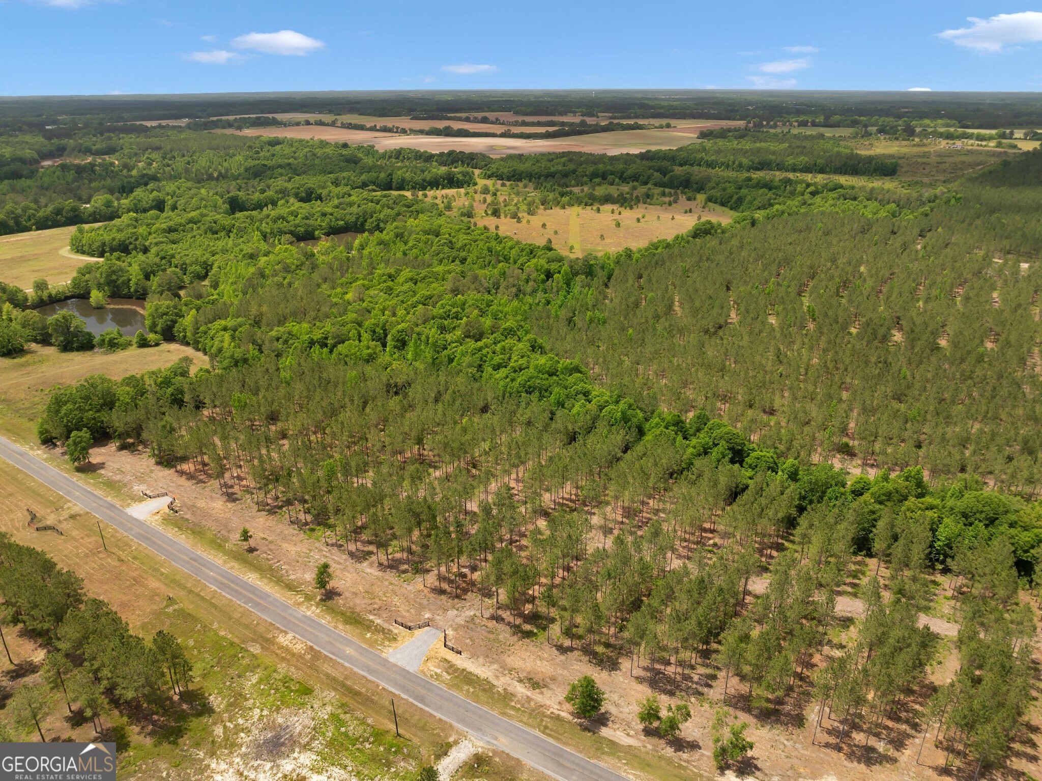 0 Dewey Thomas Road Dexter GA 31019