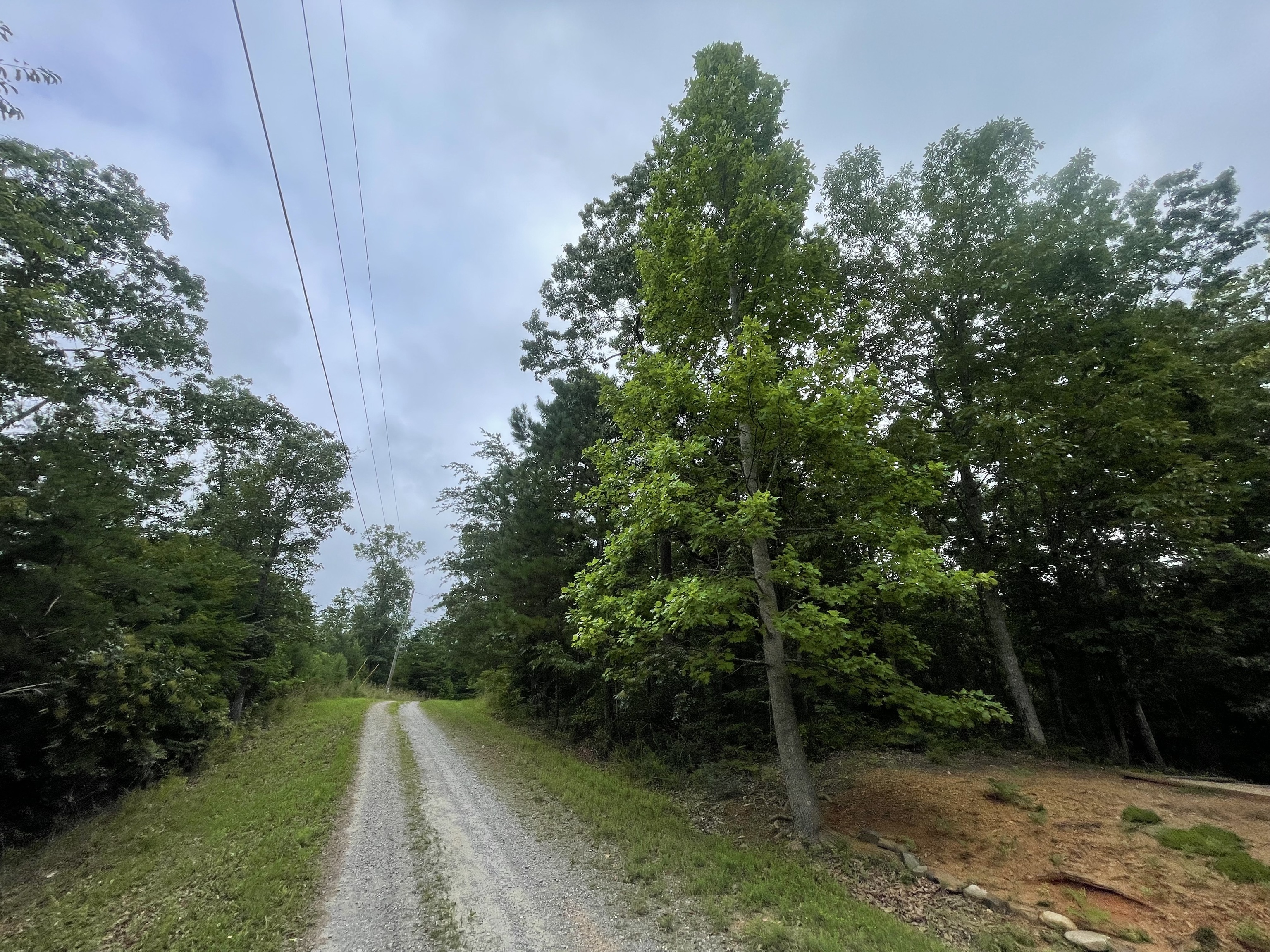 935 Aurora Lane Ranger GA 30734