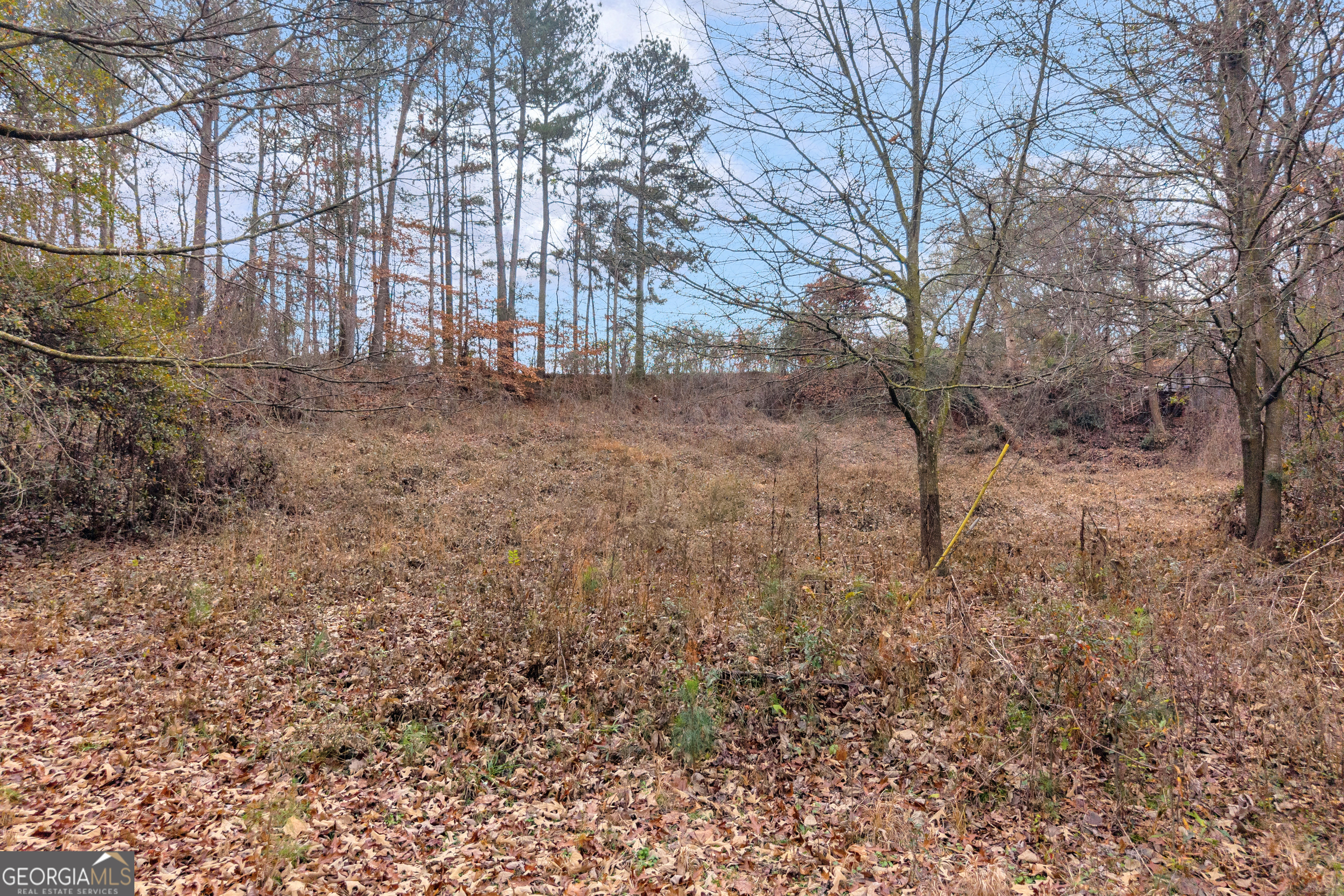 510 Gumlog Grove Road Lavonia GA 30553