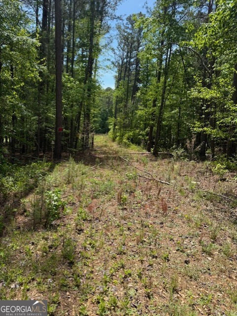 580 Dutchman Road Griffin GA 30223