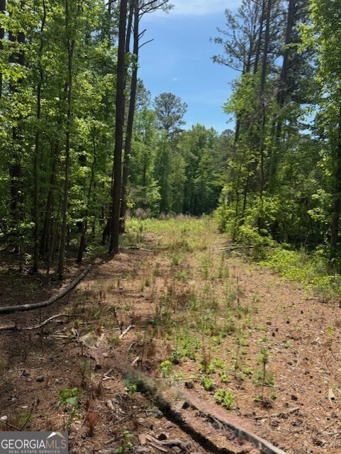 580 Dutchman Road Griffin GA 30223