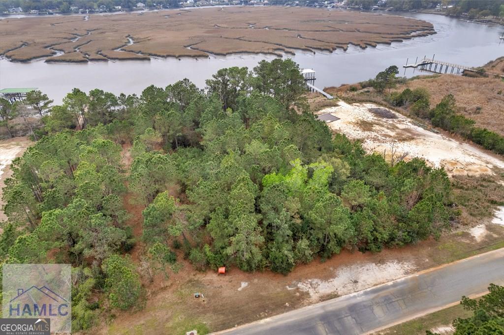 Lot 29 Jerico Marsh Road Midway GA 31320