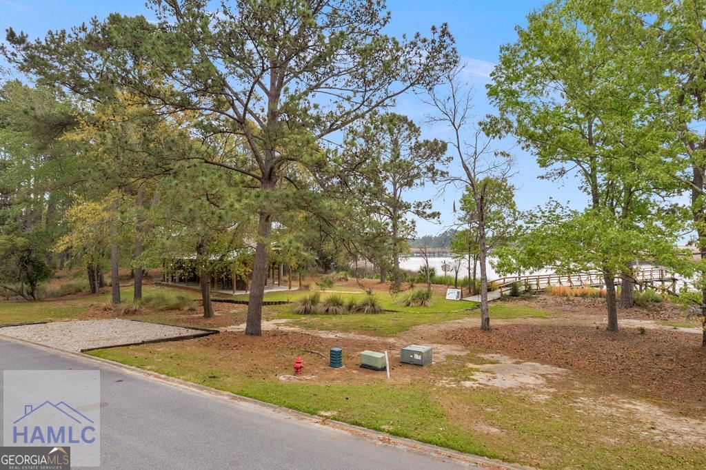 Lot 29 Jerico Marsh Road Midway GA 31320