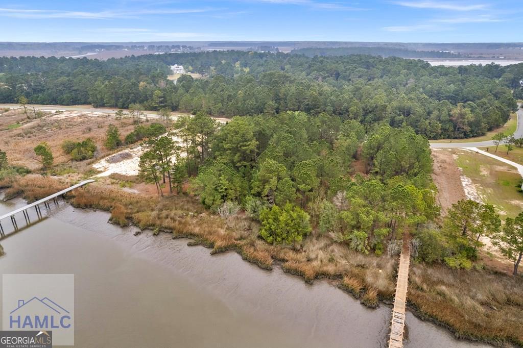 Lot 29 Jerico Marsh Road Midway GA 31320