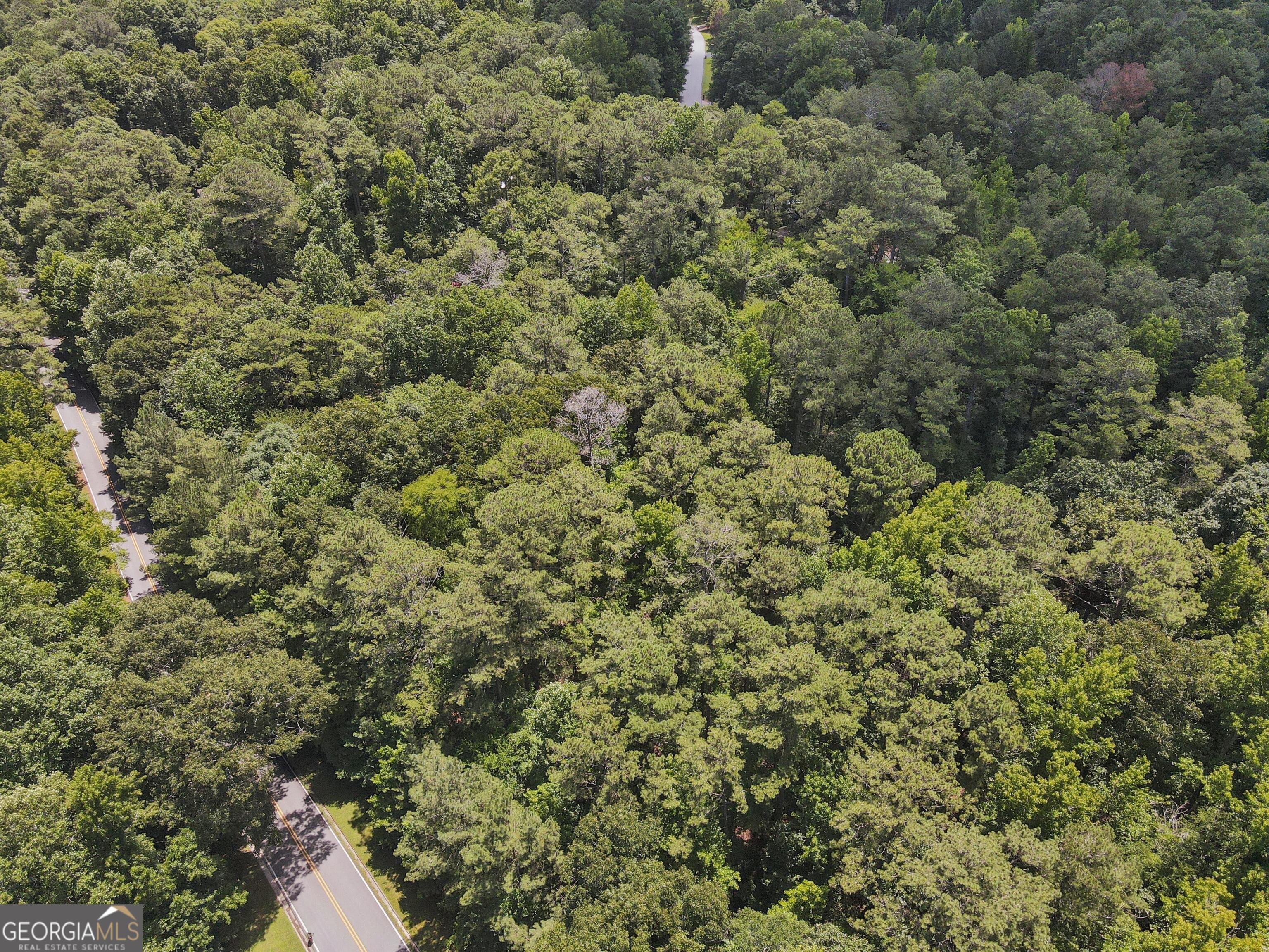 0 Griffin Mountain Trail Trail NE Conyers GA 30013