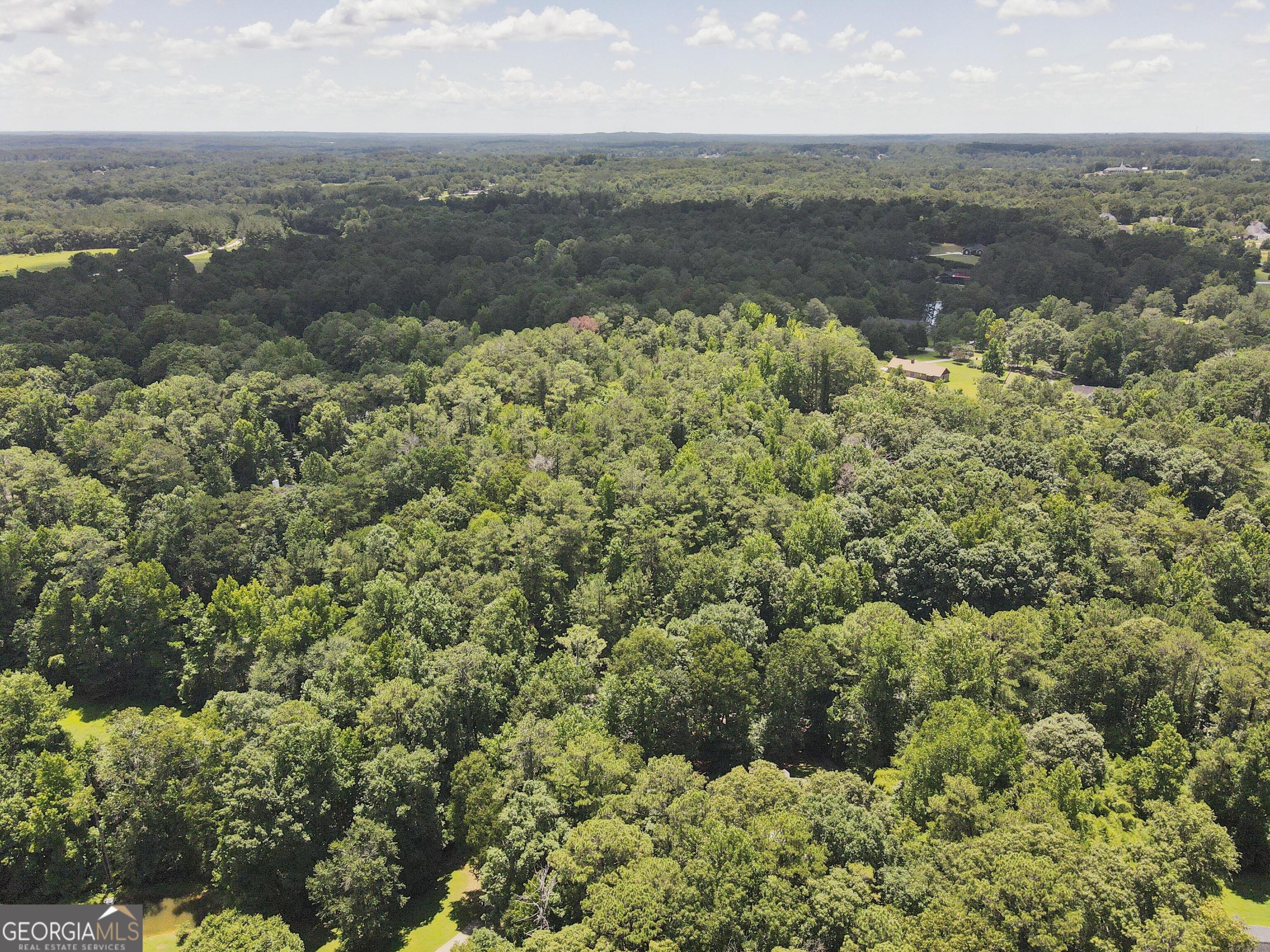 0 Griffin Mountain Trail Trail NE Conyers GA 30013