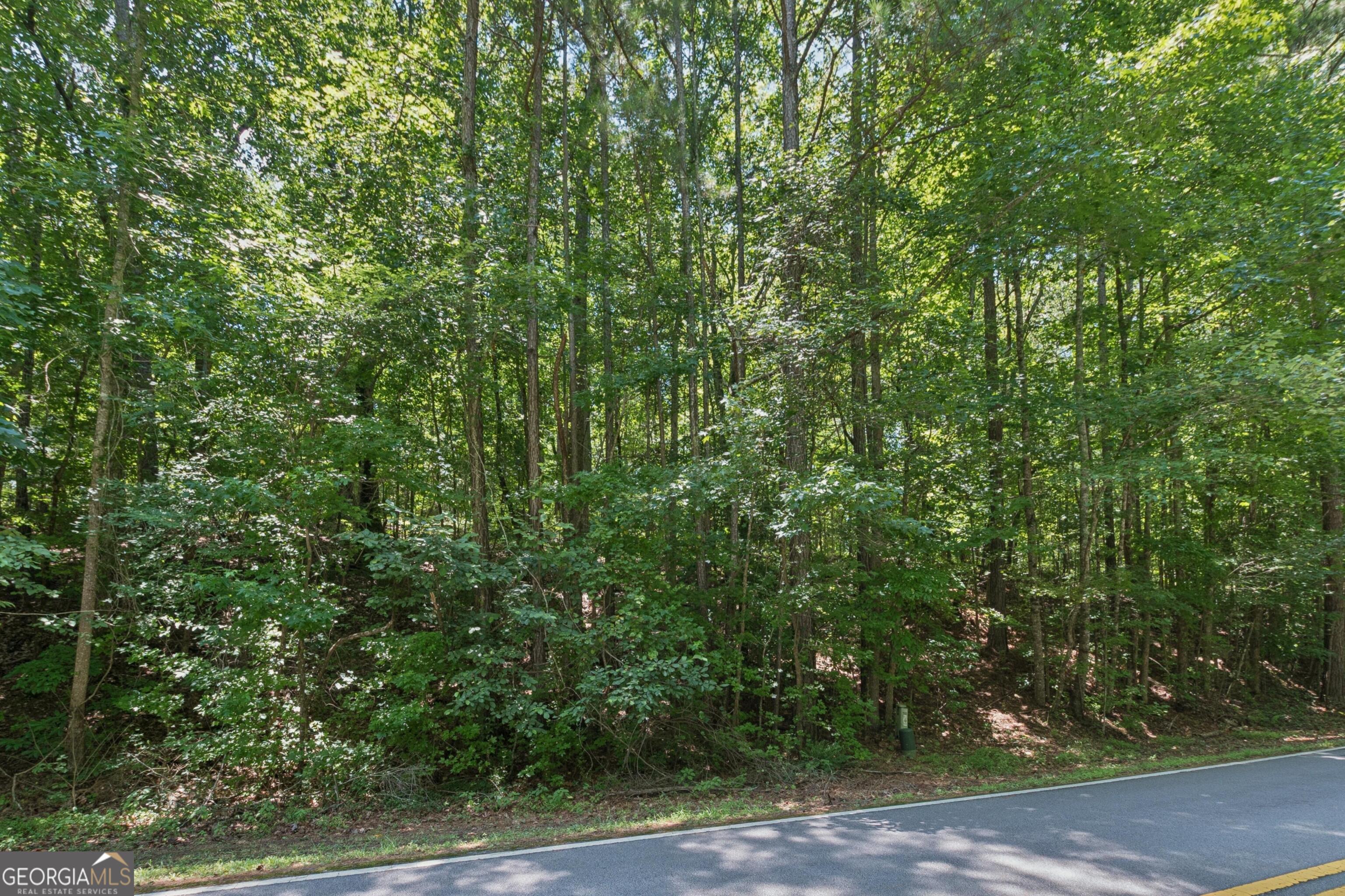 0 Griffin Mountain Trail Trail NE Conyers GA 30013