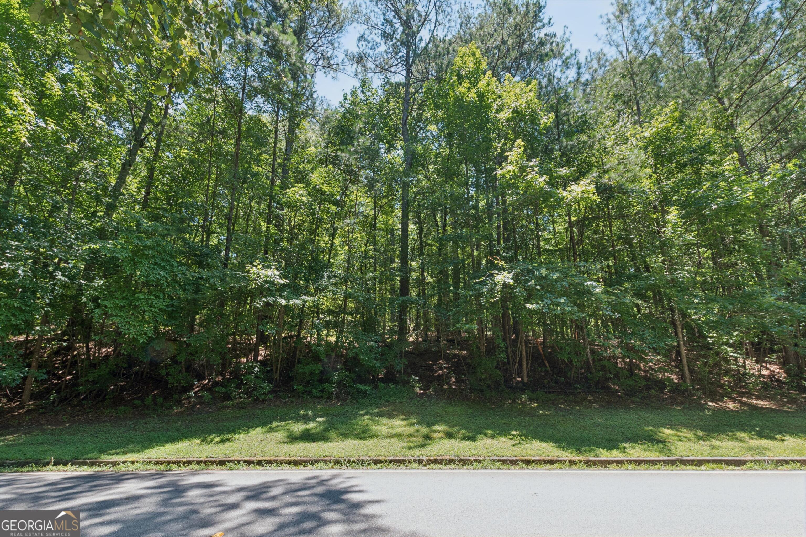 0 Griffin Mountain Trail Trail NE Conyers GA 30013