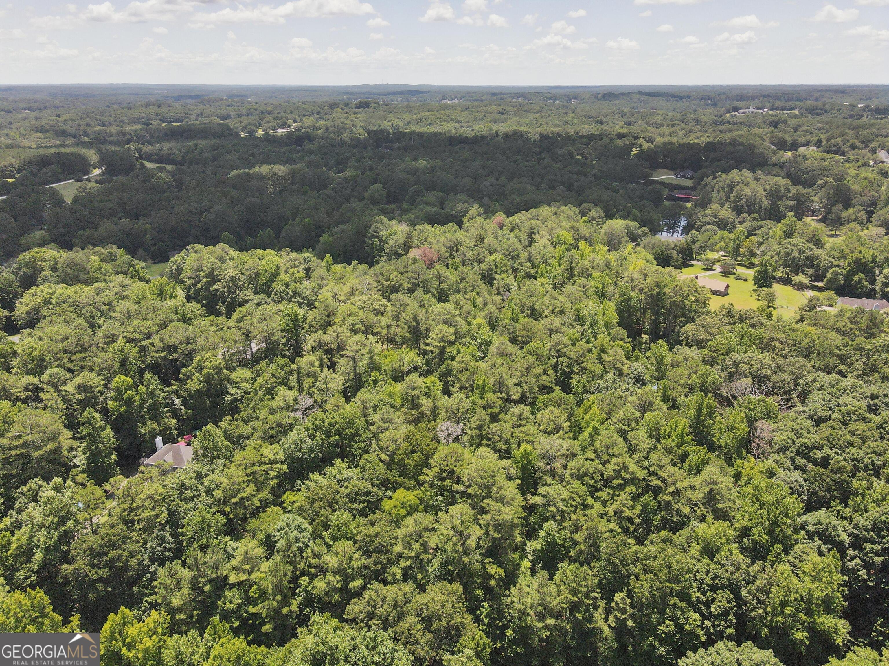 0 Griffin Mountain Trail Trail NE Conyers GA 30013