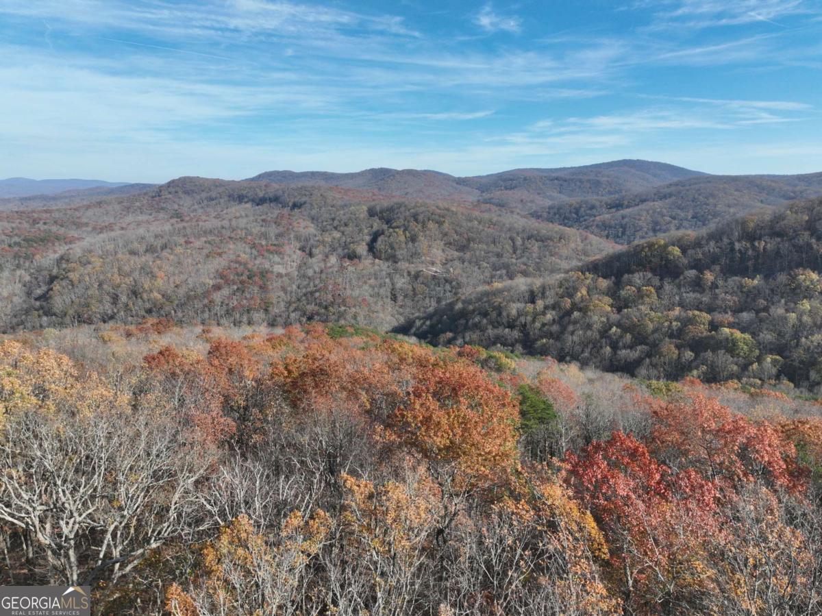 274 Andes Ridge Ellijay GA 30536