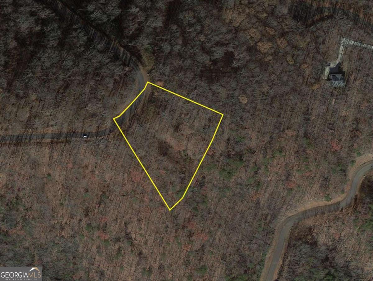 274 Andes Ridge Ellijay GA 30536