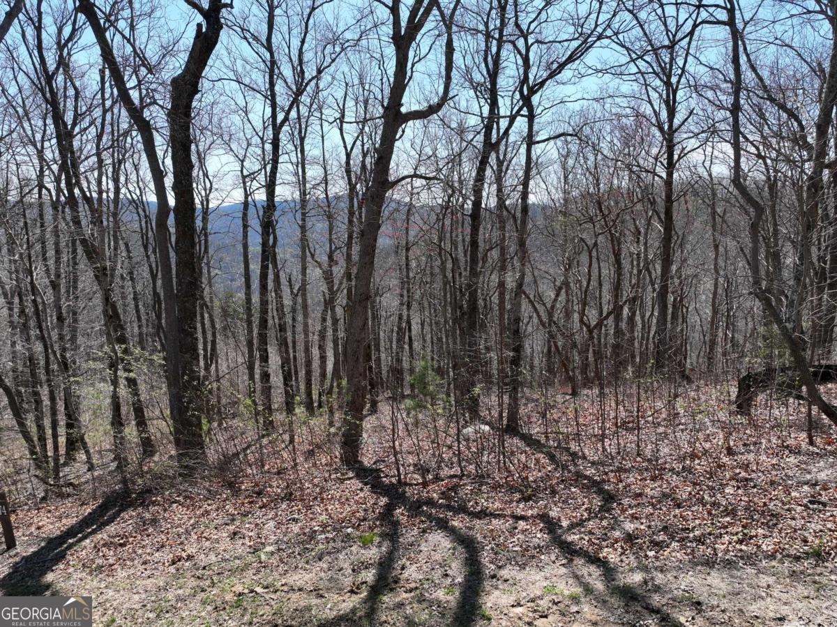 274 Andes Ridge Ellijay GA 30536