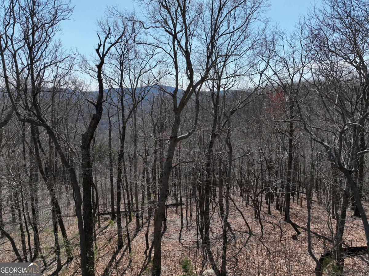 274 Andes Ridge Ellijay GA 30536