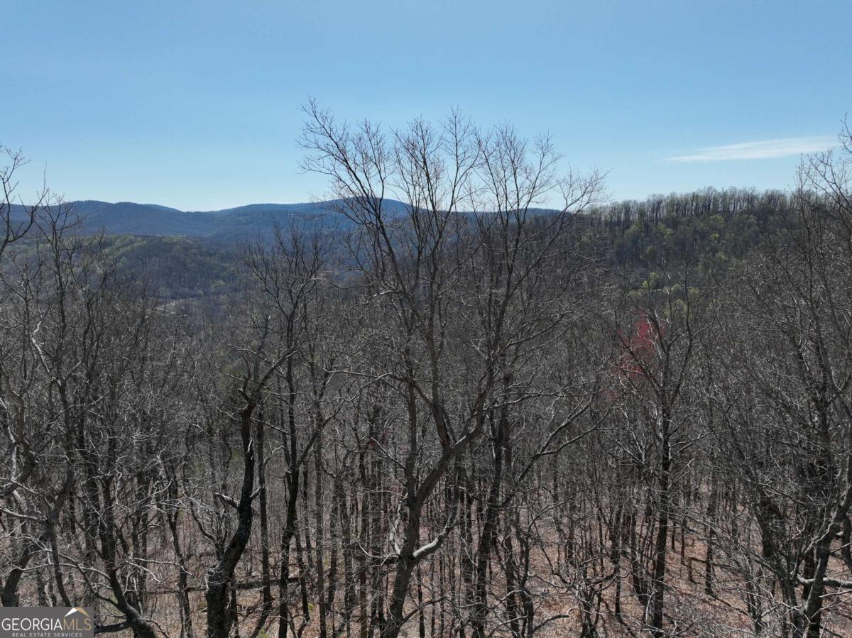 274 Andes Ridge Ellijay GA 30536