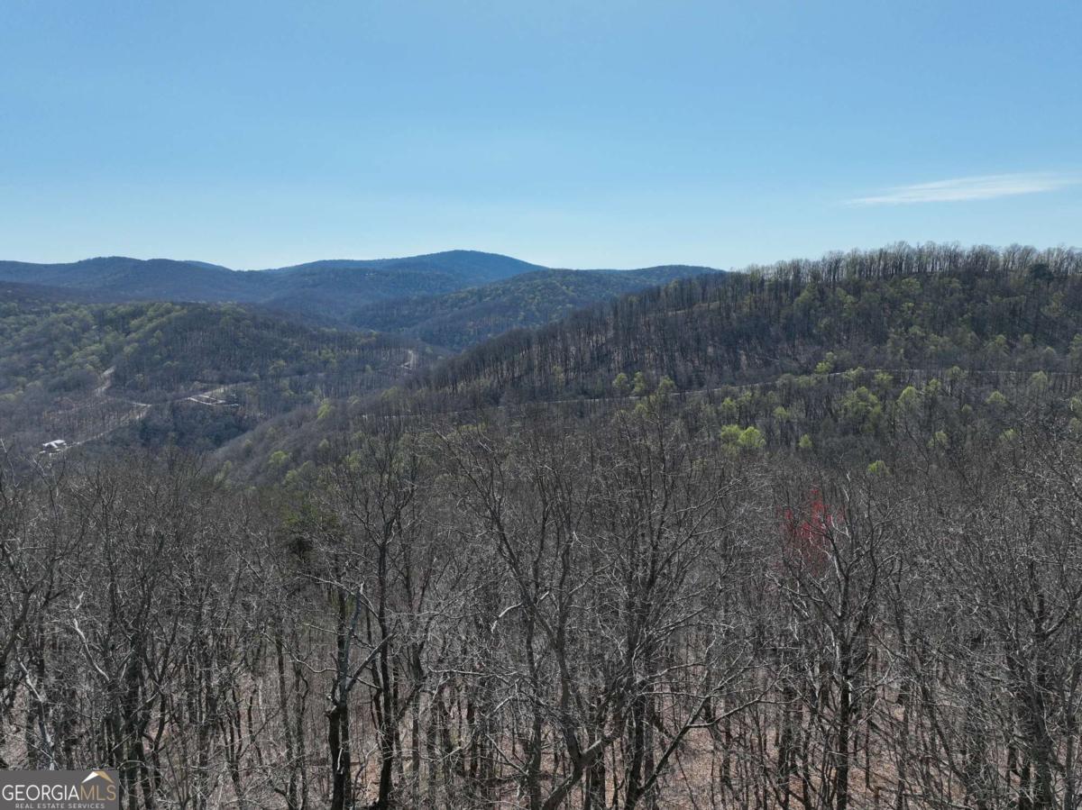 274 Andes Ridge Ellijay GA 30536