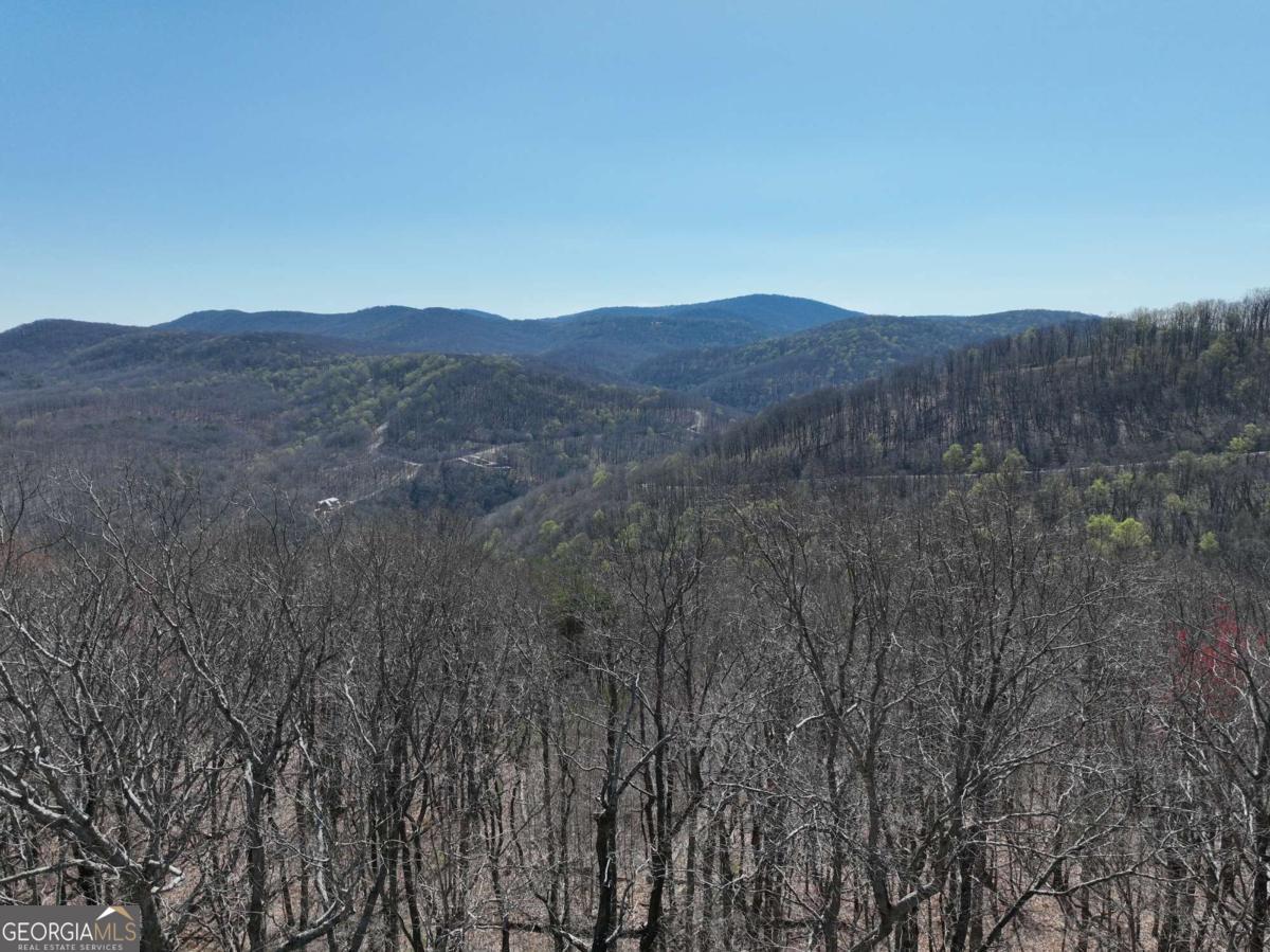 274 Andes Ridge Ellijay GA 30536