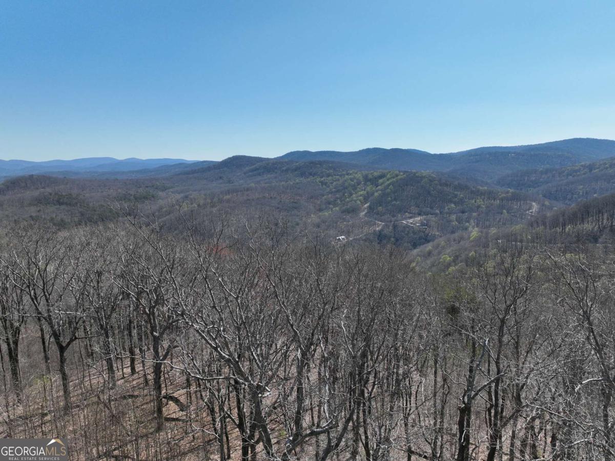 274 Andes Ridge Ellijay GA 30536