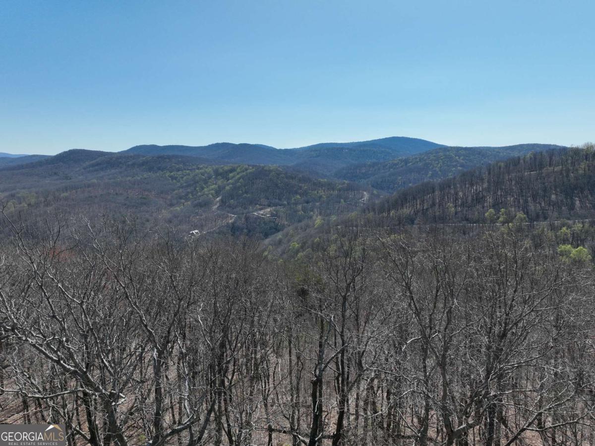 274 Andes Ridge Ellijay GA 30536