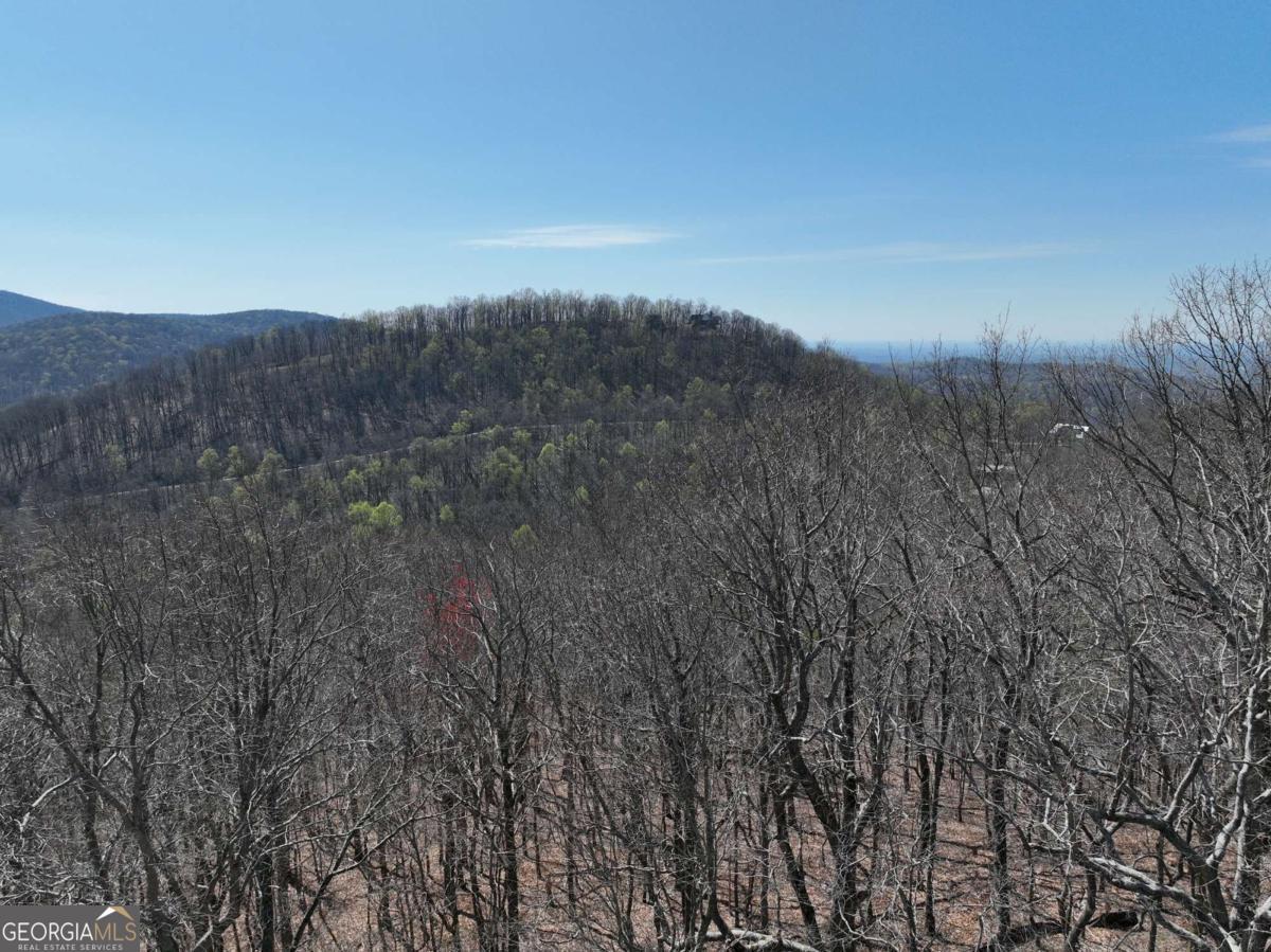 274 Andes Ridge Ellijay GA 30536
