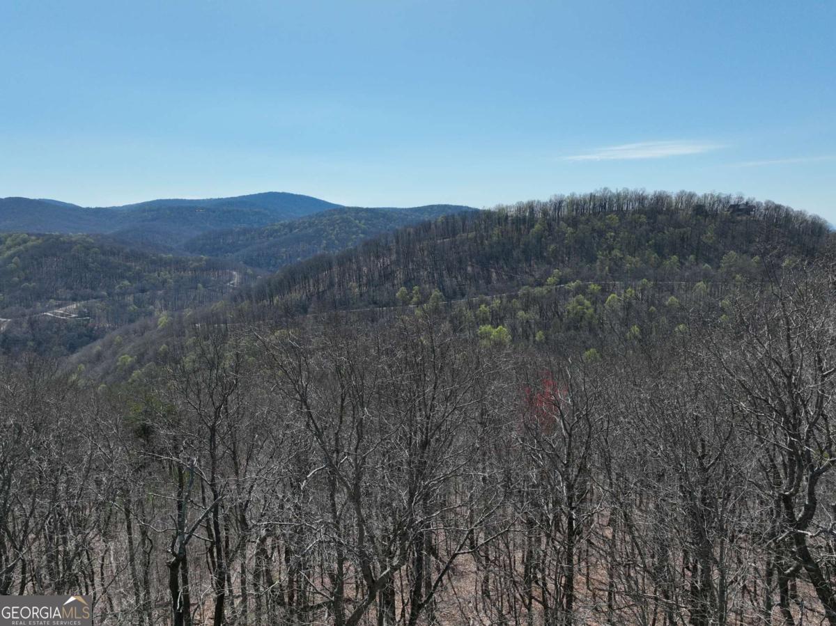 274 Andes Ridge Ellijay GA 30536