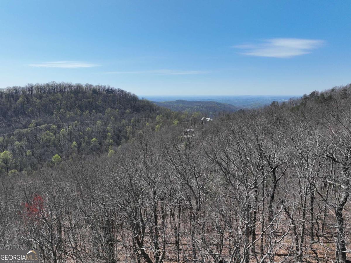 274 Andes Ridge Ellijay GA 30536
